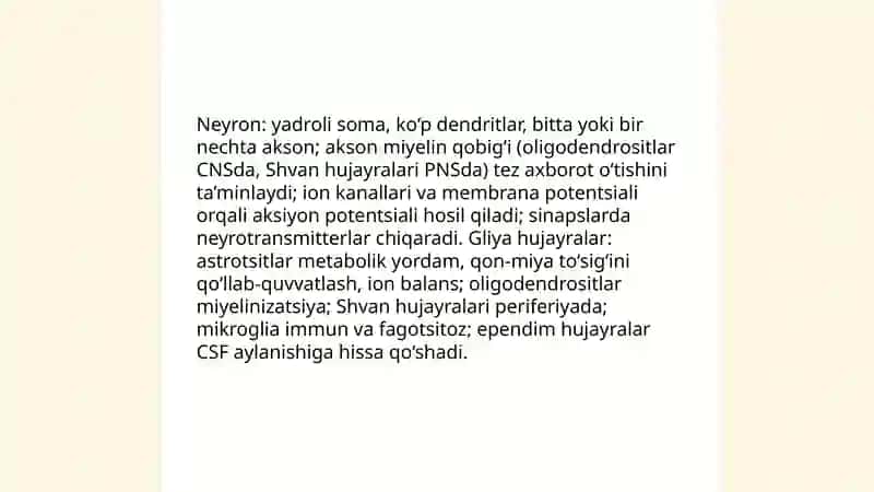 Nerv tizimi 4