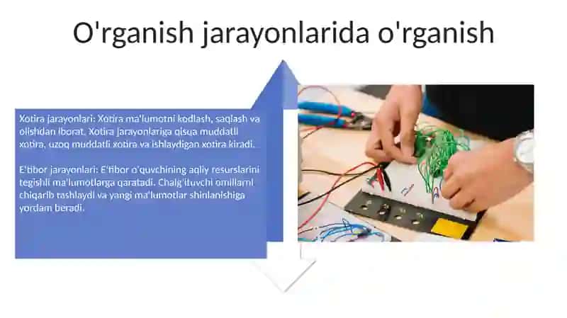 Ta'Lim Qonuniyatlari Va Tamoyillari 4