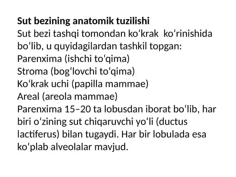 Sut bezi gistologiyasi 4