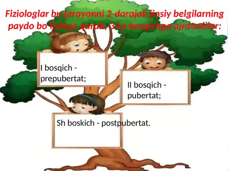 Ilk o’spirinlik va yoshlik davrida psixik rivojlanish xususiyatlari 4