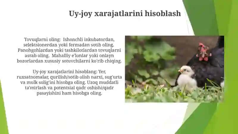 Tuxumning qiymatini baholash 4