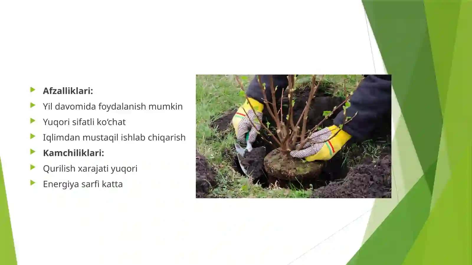 Ko‘chatyetishtirish inshootlari haqida umumiy tushuncha va ularning ahamiyati 4