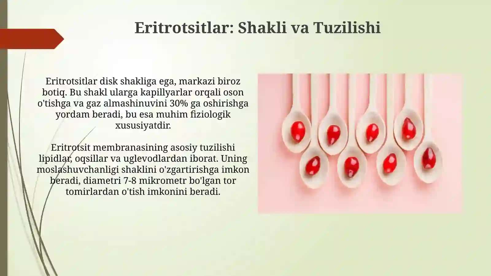 Eritrotsitlar gemoglabin vauningturlari 4