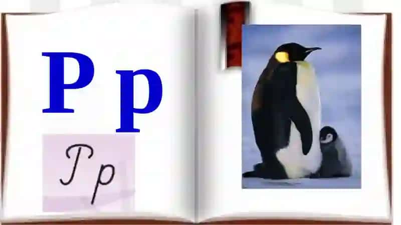 Ptovushiva 4