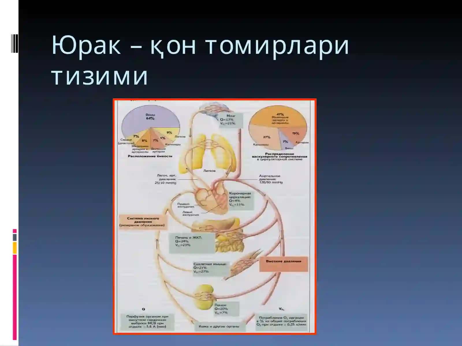 Юрак етишмовчилиги патфизиологияси 4