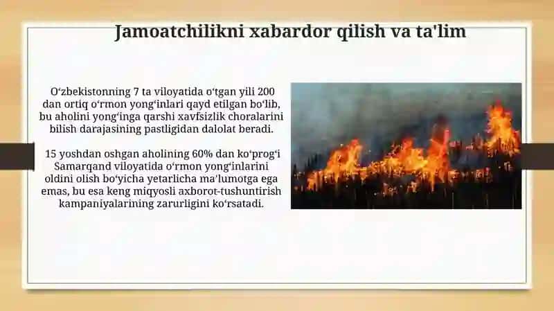 O'rmonlardagi yong'inlar muammosi 4