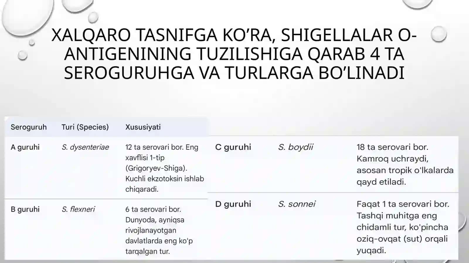 Shigellioz 4