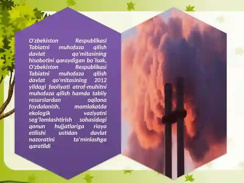 ATROF MUHITNI MUHOFAZA QILISH VA TABIATDAN FOYDALANISH SOHASIDA DAVLAT BOSHQARUVI 4