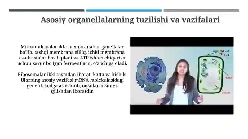 Hayvon va o'simlik hujayralarining o'xshashligi va farqi 4