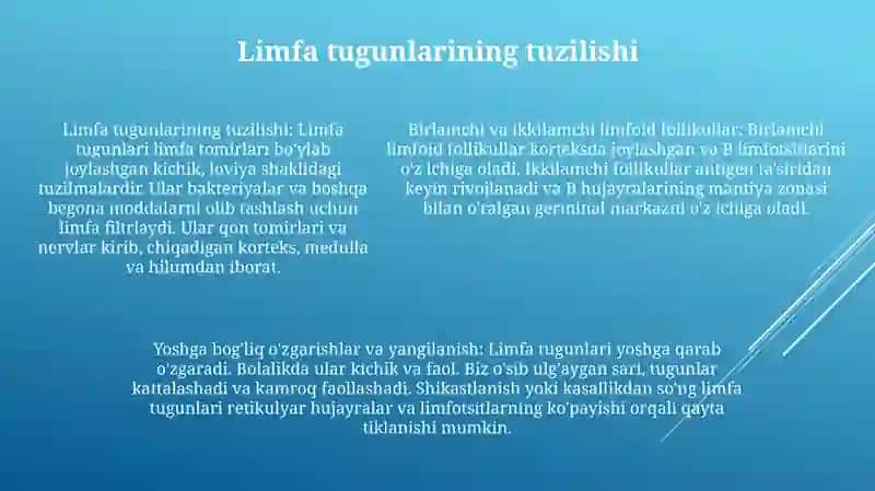 Limfa Tugunlari. Birlamchi Va Ikkilamchi Limfa Tugunlchalari (Follikullar) Tuzilishi Va Hujayraviy Tarkibi 4