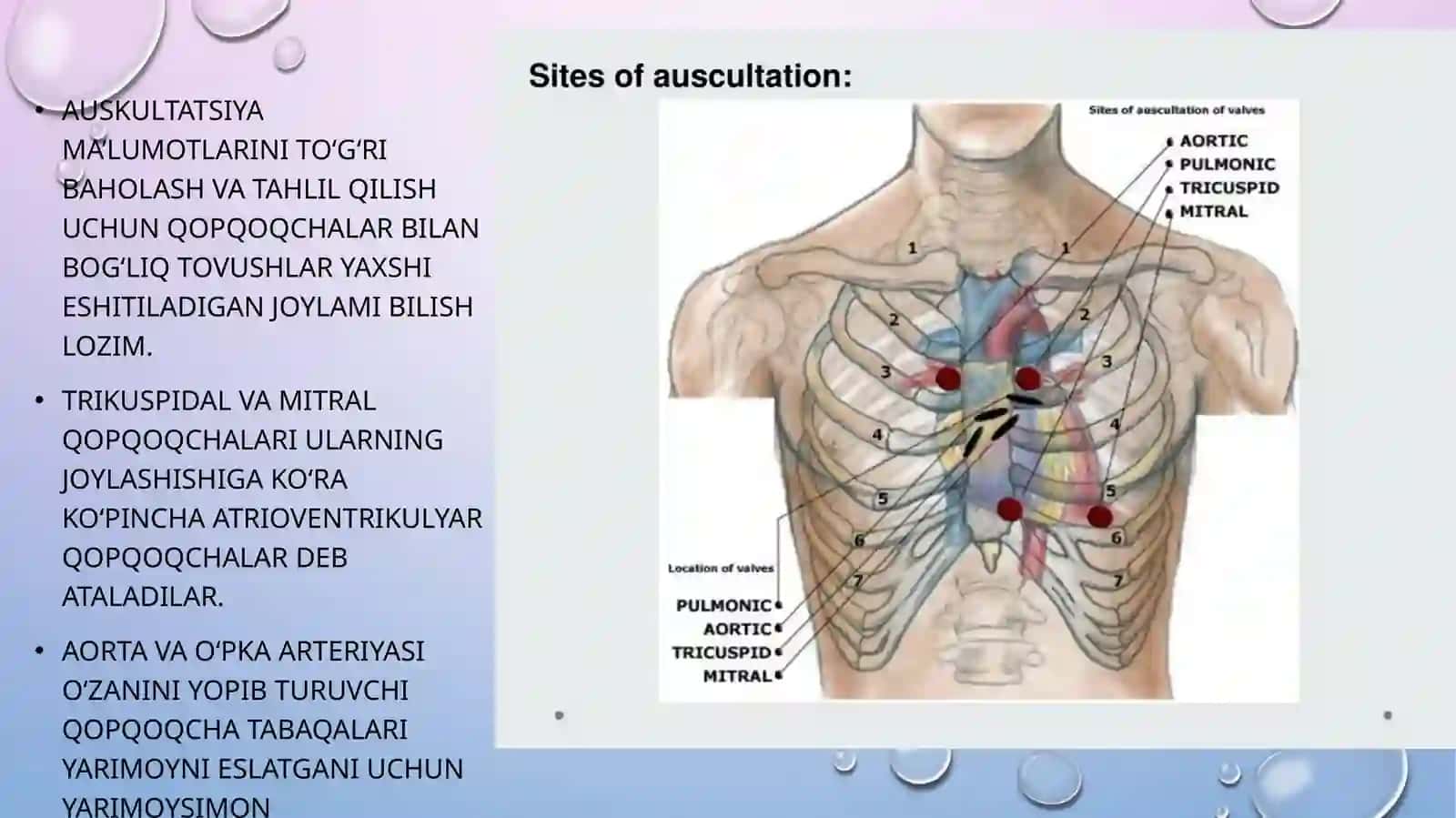 yurakAuskultatsiyasiАУСКУЛЬТАЦИЯ СЕРДЦА 4