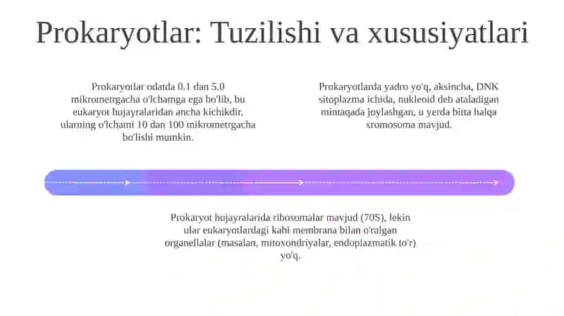 O'simlik va hayvon hujayralari: o'xshashliklar va farqlar 4