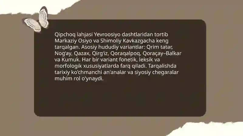 Qipchoq lahjasi 4