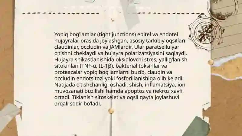 Hujayra shikastlanishida hujayralararo munosabatlarning buzilishlari 4