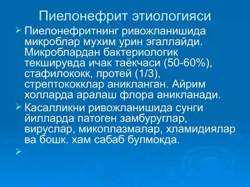 Пиелонефритлар 4