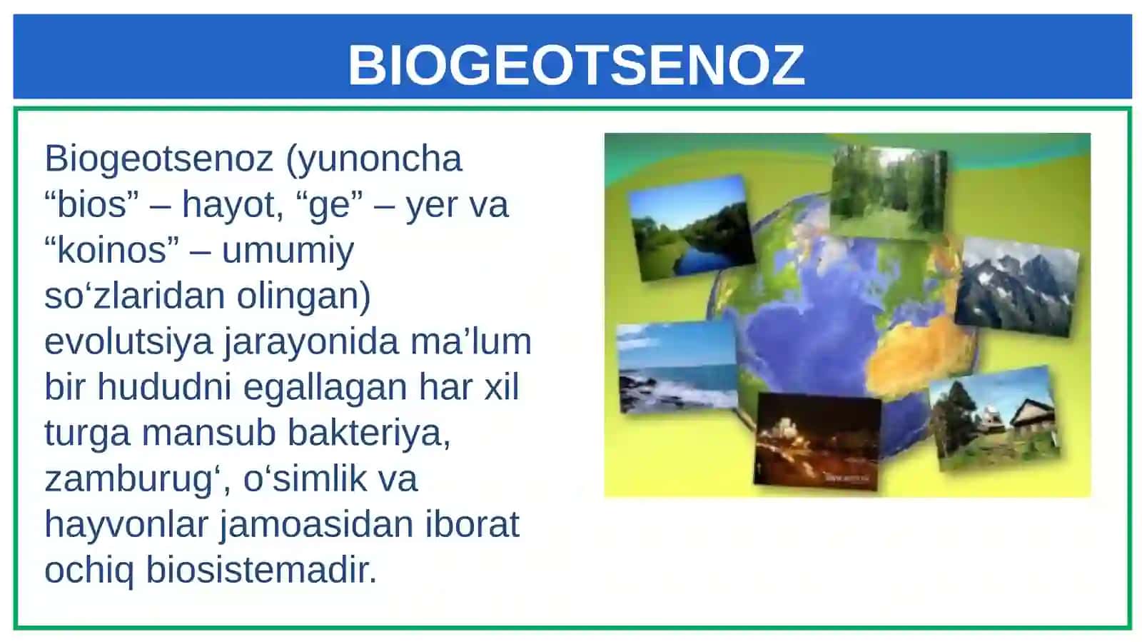 Biogeotsenoz-biologik sistema 4