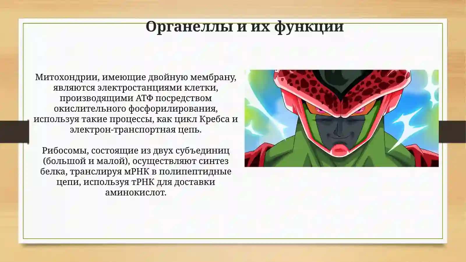 Клетка 4