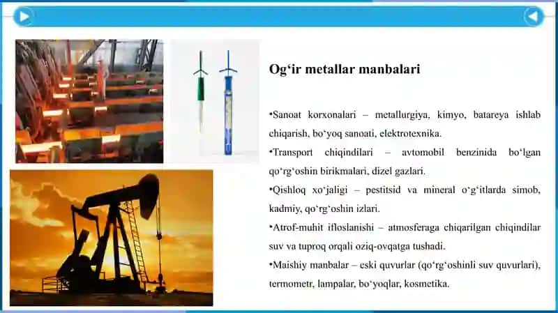 Og’ir metallarni organizmga ta’siri, yaqin va olis oqibatlari - Оғир металларни организмга таъсири, яқин ва олис оқибатлари 4