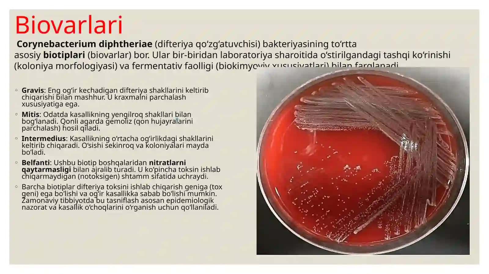Bo'g‘ma (Difteriya) mikrobiologik tavsifi, patogenezi va diagnostikasi 4