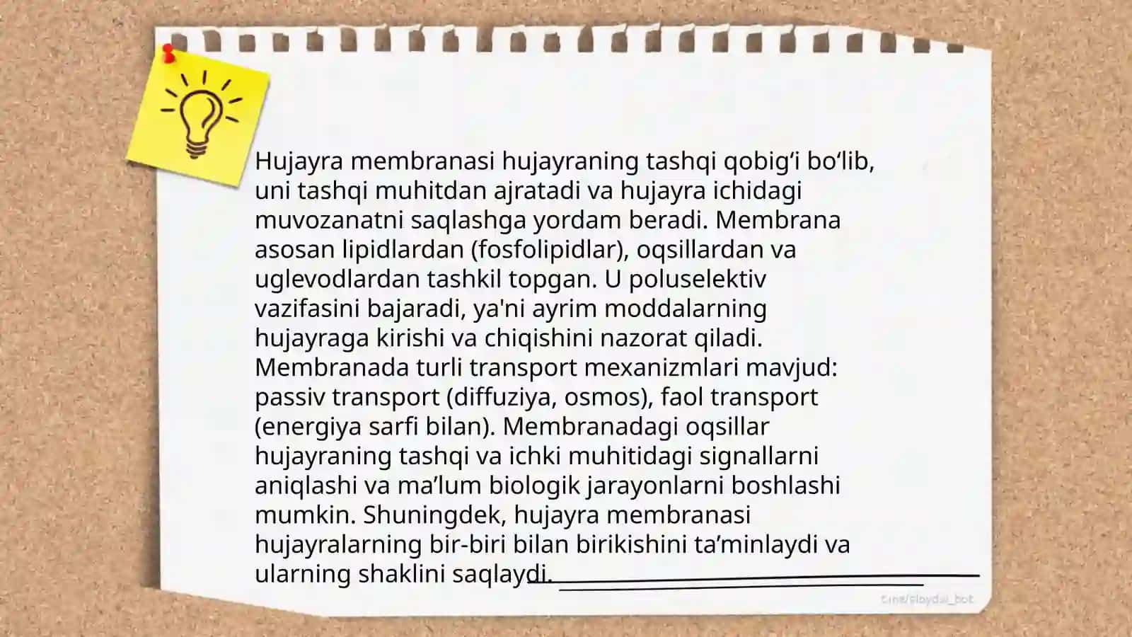 Hujayraning asosiy komponentlari 4