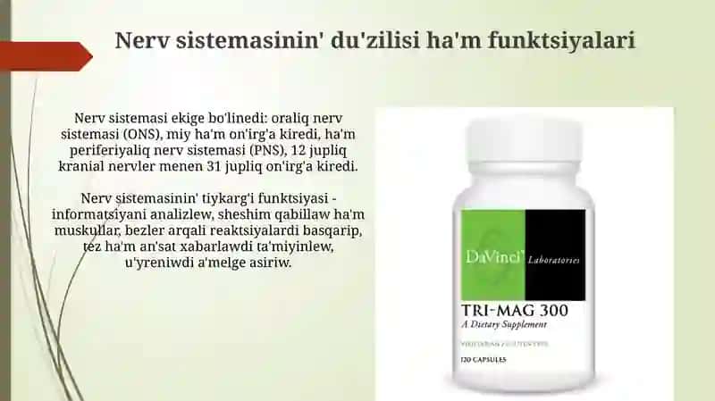 Organizm funkciyasinin' nerv ha'm gumoral basqariliwi 4