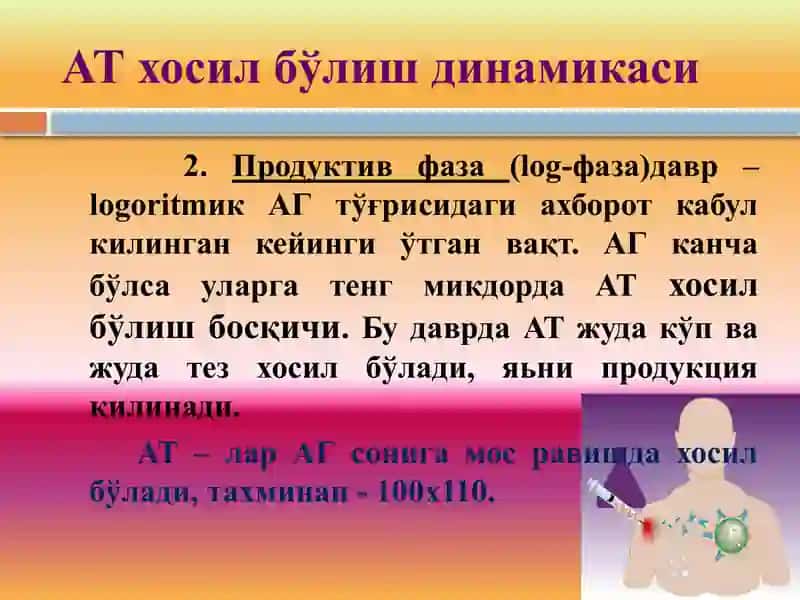 АТ хосил бўлиш динамикаси, Лимфацитлар тизими 4
