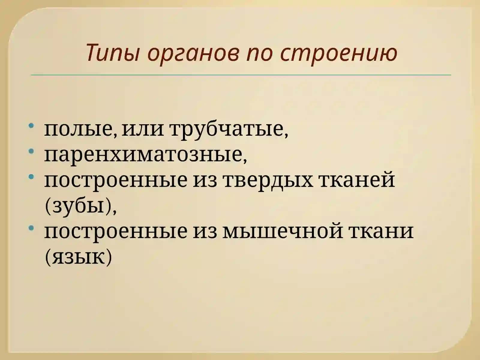 Спланхнология 4