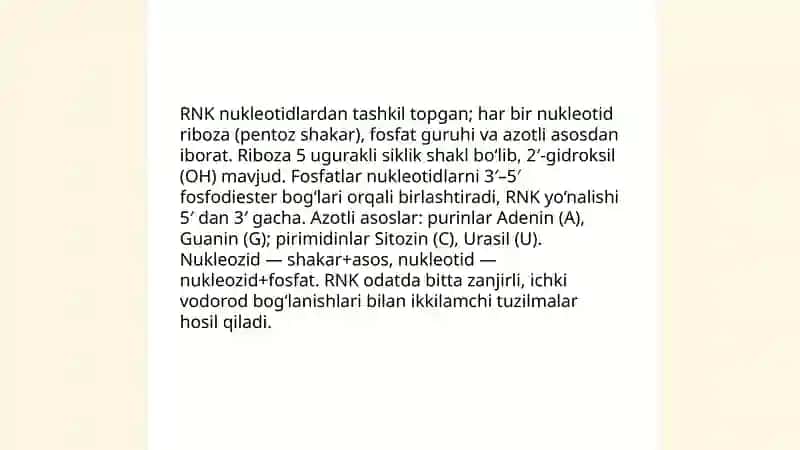 Ribonuklein kislotalar 4