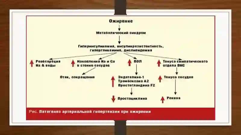 Semizlik va AG. Abdominal semirish. (Metabolik sindrom). Identifikatsiya muammolari. Kattalarda yoshga nisbatan diagnostik omillar. Visseral adipotsitoz va bo‘sh yog‘ kislotalari. Tasnifi. Menejment va farmakoterapiya. 4
