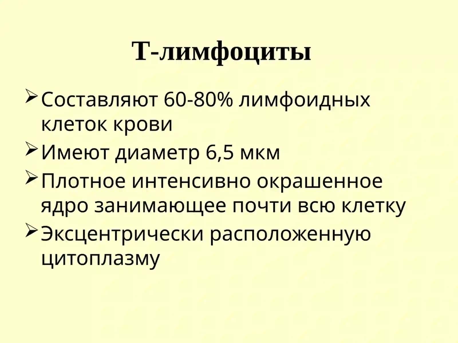 Т-лимфоциты 4