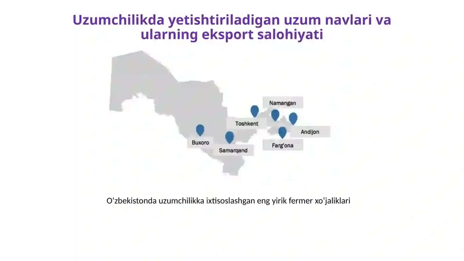 Tokning vegetativ o‘sishi va tok qalamchalarini saqlash 4
