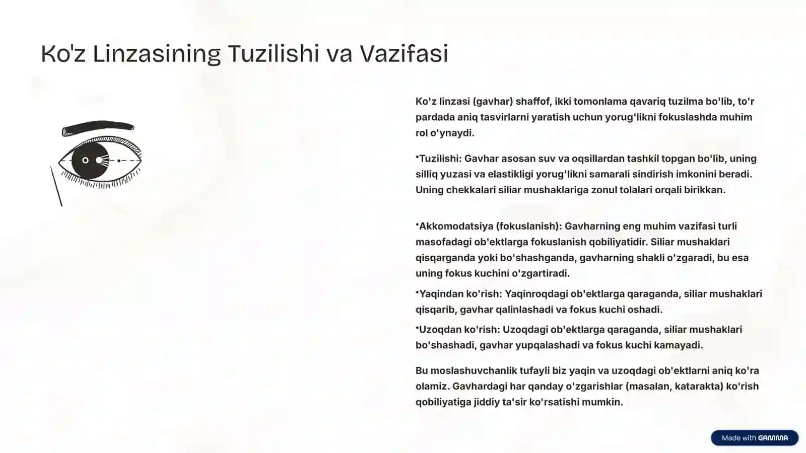 Ko'z Optikasi va Optika Haqida Ma'lumot 4