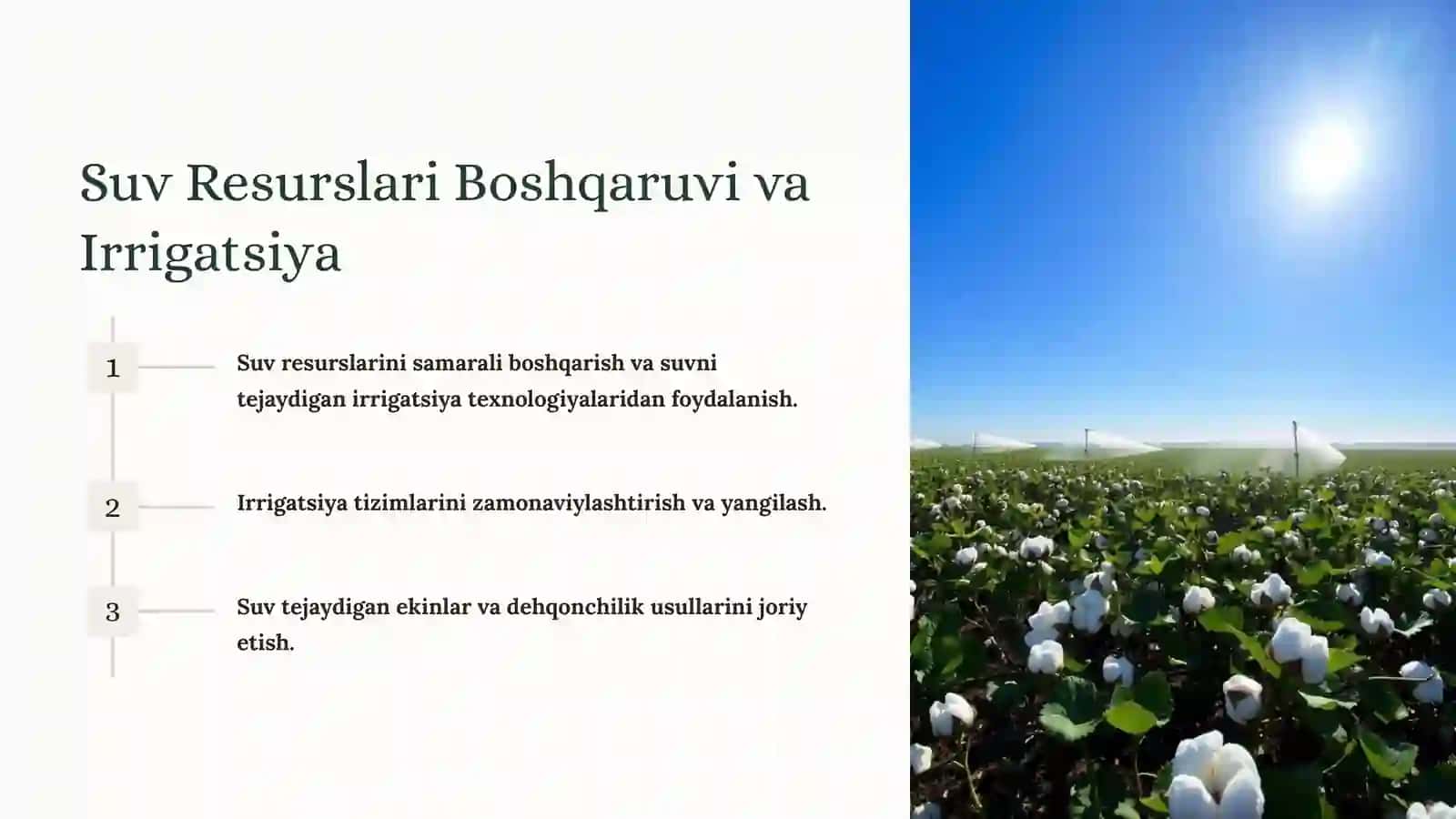 O'zbekistonda Agrar Siyosat va Qishloq Xo'jaligidagi Islohotlar 4