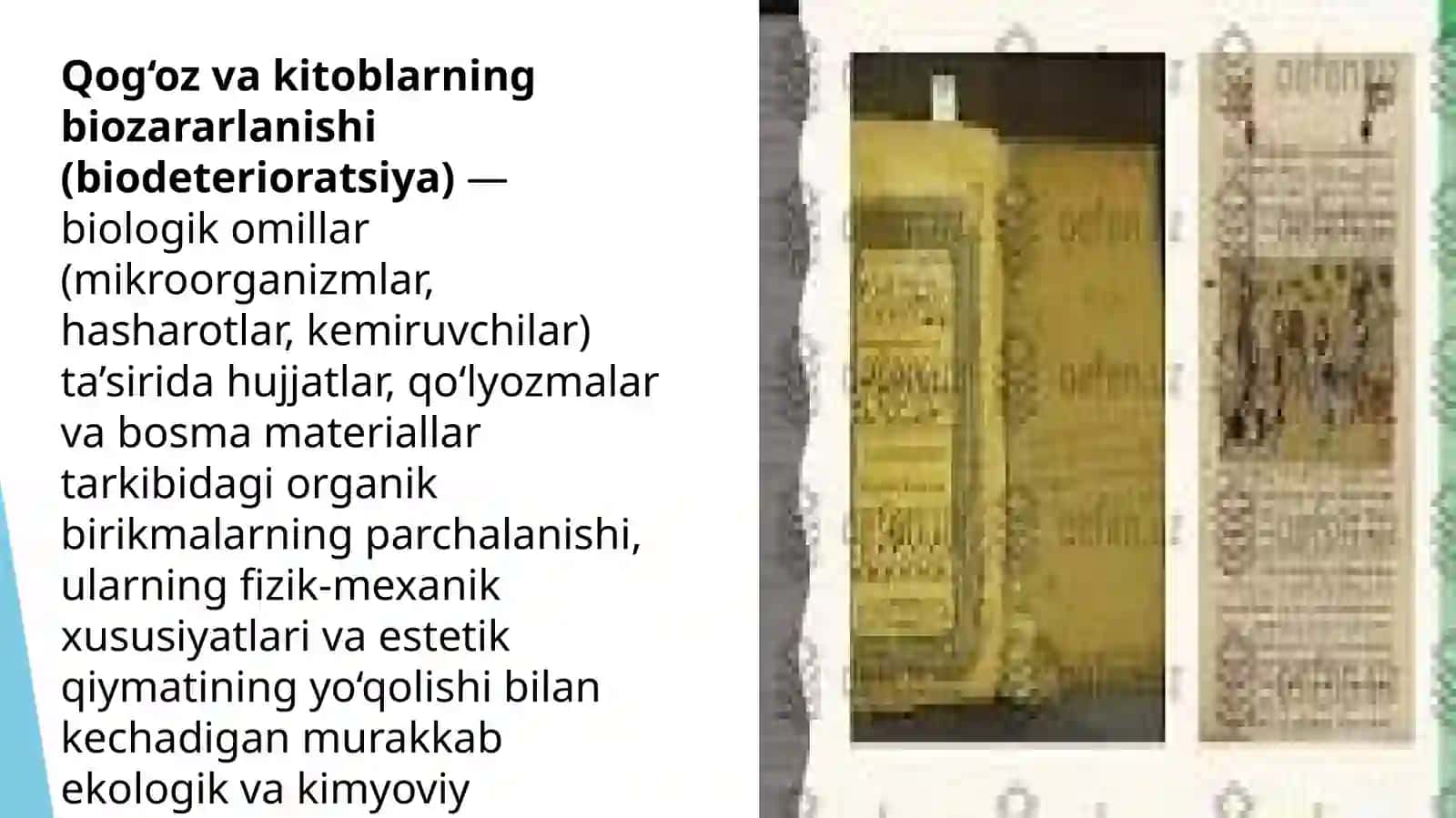 Qog'oz vakitoblarning biozararlanishi 4
