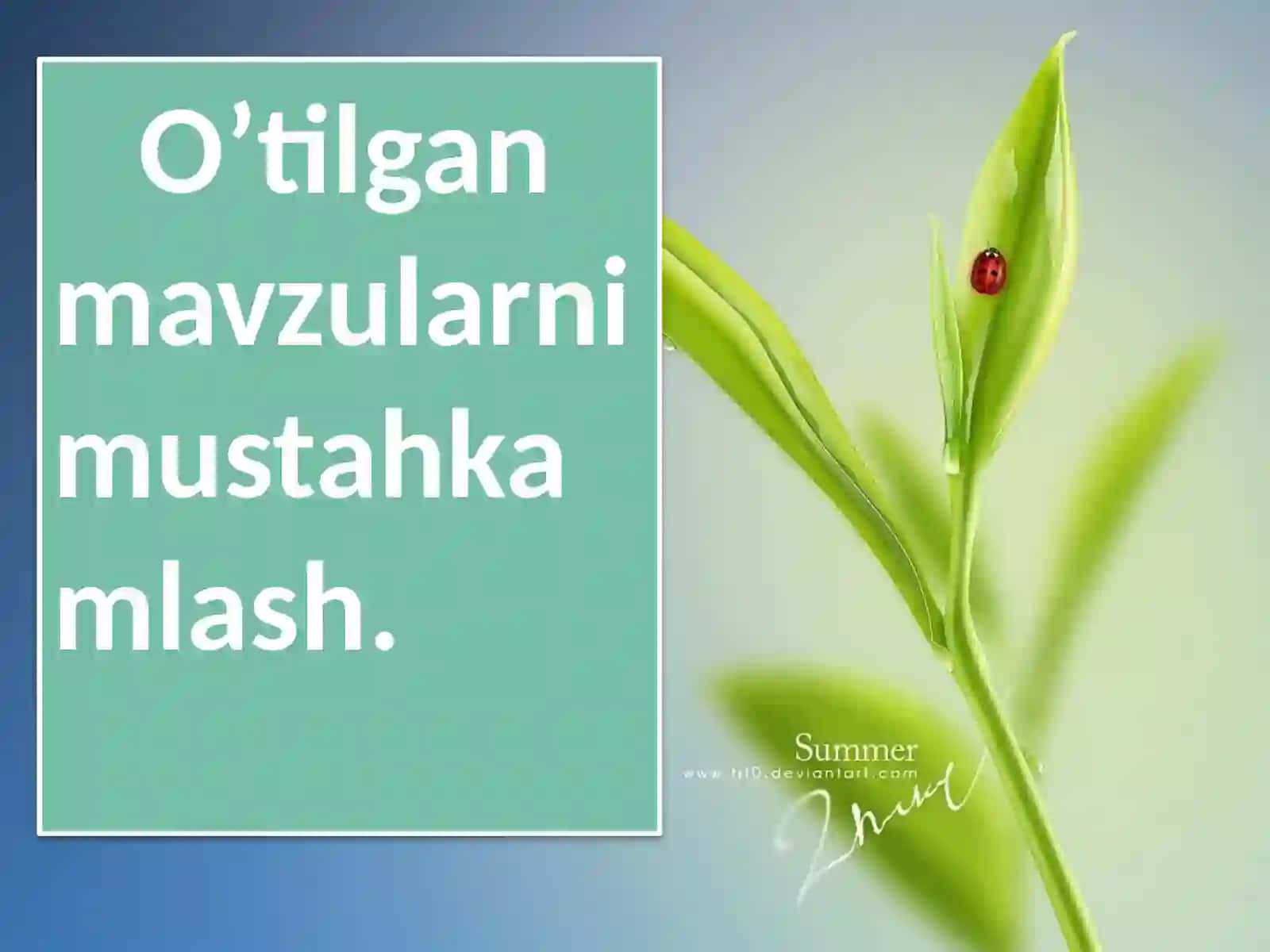 GULLI 0`SIMLIKLAR BILAN UMUMIY TANISHISH 4
