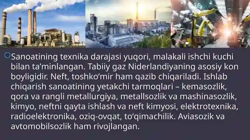 Niderlandiya investitsiya va innovatsiya siyosati. 4