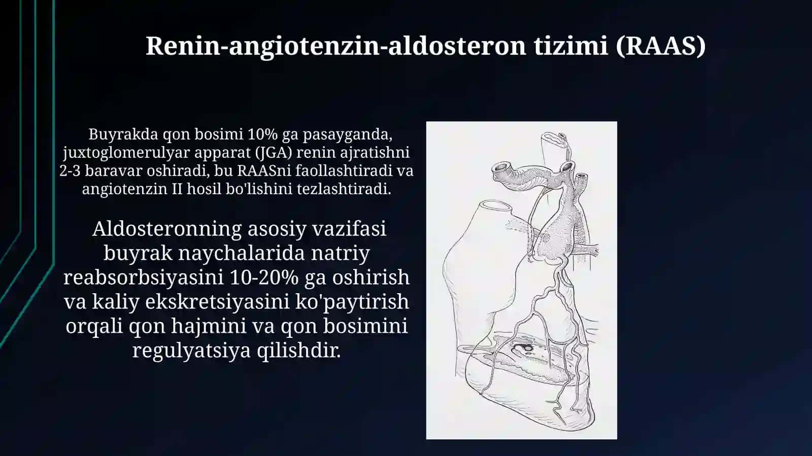 Buyraklar bosimi"fiziologiyasi 4