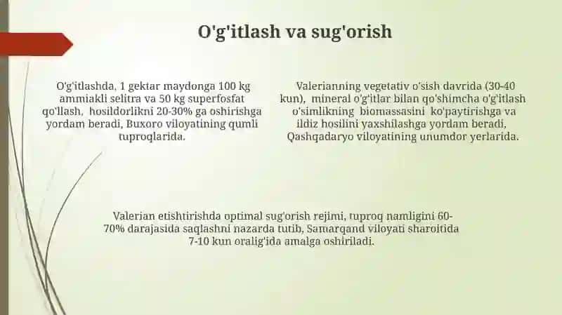 Valeriana oʻsimligini yetishtirish texnologiyasi 4