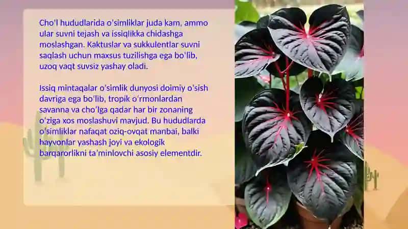 Issiq iqlim mintaqalarining tabiat zonalari, o'simlik va hayvonot dunyosi 4