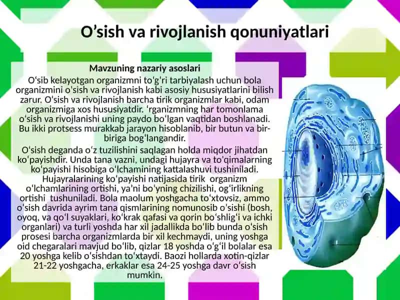 O’sish va rivojlanishining umumiy qonunlari.Akseleratsiya 4