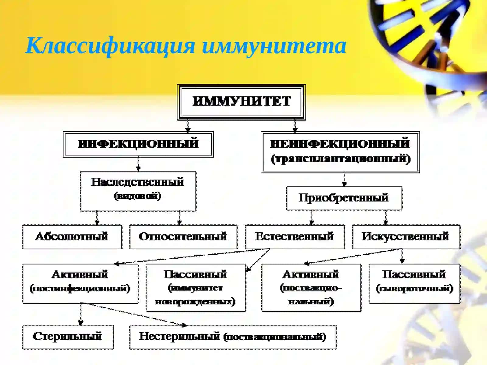 Вторичные иммунодефицитные состояния 4