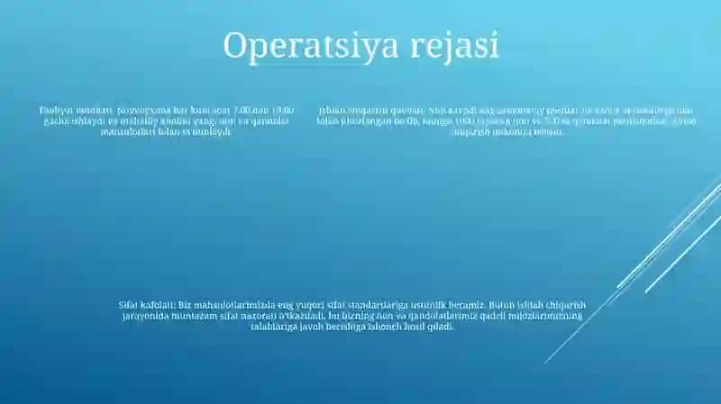 Zog'Ora Nonini Pishirish Biznes Reja 4