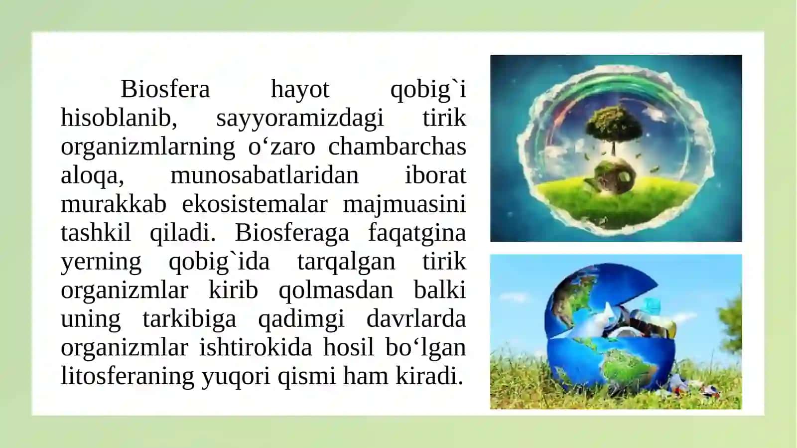 Biosferada moddalar aylanishi: uglerod, azot, kislorod, suv sikllari 4
