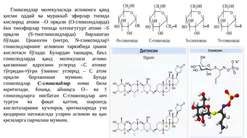 DORIVOR O‘SIMLIKLARNI GLIKOZIDLAR BO‘YICHA ANIQLASH, ANALIZ QILISH. 4