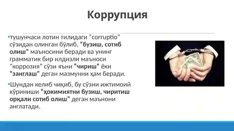 Коррупцияга қарши кураш жахон тажрибаси 4
