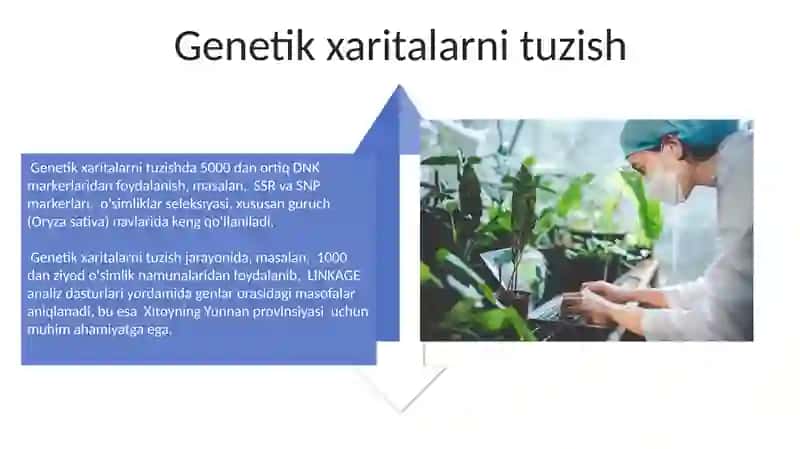 Genetik markerlar yordamida o'simlik va hayvonlar seleksiyasini takomillashtirish 4