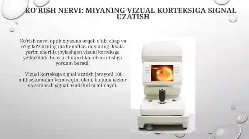 Koʻruv analizatori. Koʻzning optik tizimi 4