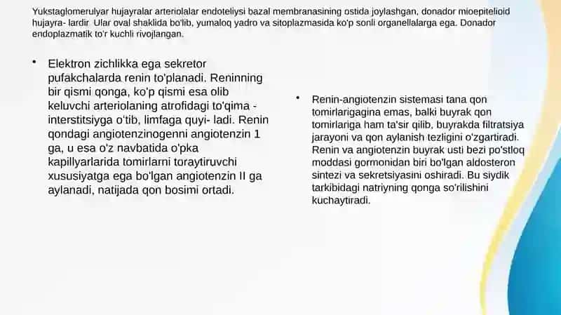 Buyrakning yukstaglomerulyar apparati sitofiziologiyasi. Nefronning gistofiziologiyasi. Buyraklar tuzilishi va regenerator imkoniyatlarining yoshga doir xususiyatlari. 4