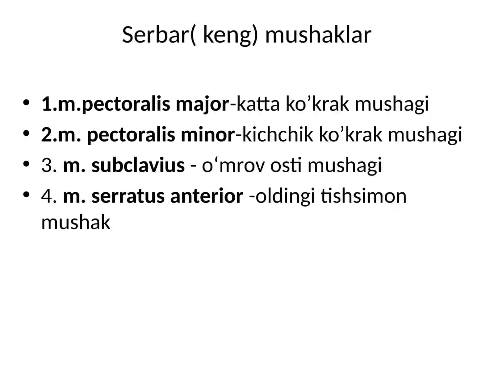 Ko’krak va qorin mushaklar 4