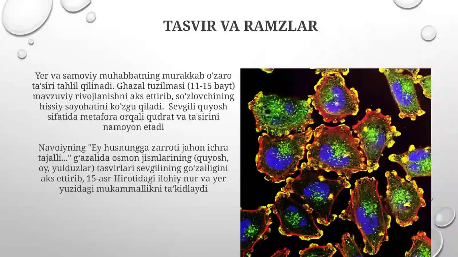 Navoiyning“Eyhusnunggazarrotijahonichratajalli…mustazodiningtahlili 4